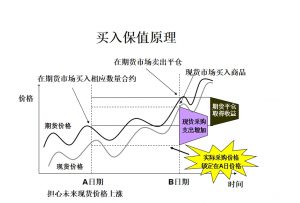 期货套期保值业务 及案例讲解